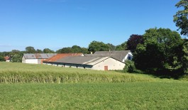 På Den Anden Side